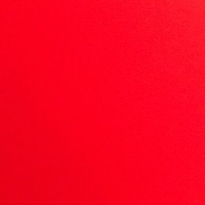 Meet your Posher, Willow